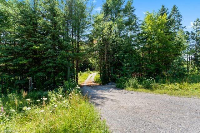 lot 2 Highway 7, Home with 0 bedrooms, 0 bathrooms and null parking in Lanark Highlands ON | Image 6