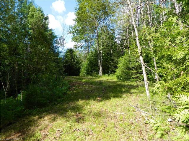 Swamp Road, road frontage on right hand side | Image 5