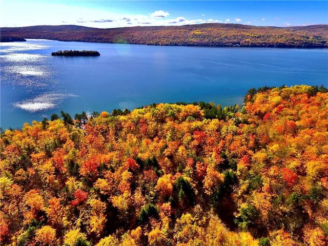 103 Bald Rock Trail, House detached with 3 bedrooms, 1 bathrooms and 4 parking in Bonnechere Valley ON | Image 26