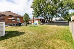 MAIN - 223 Erindale Ave, House detached with 3 bedrooms, 1 bathrooms and 2 parking in Hamilton ON | Image 31