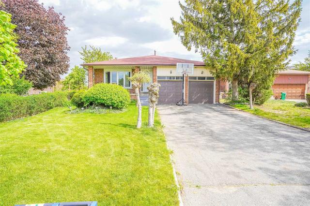 MAIN - 3 Malcolm Cres, House detached with 3 bedrooms, 2 bathrooms and 2 parking in Brampton ON | Image 12