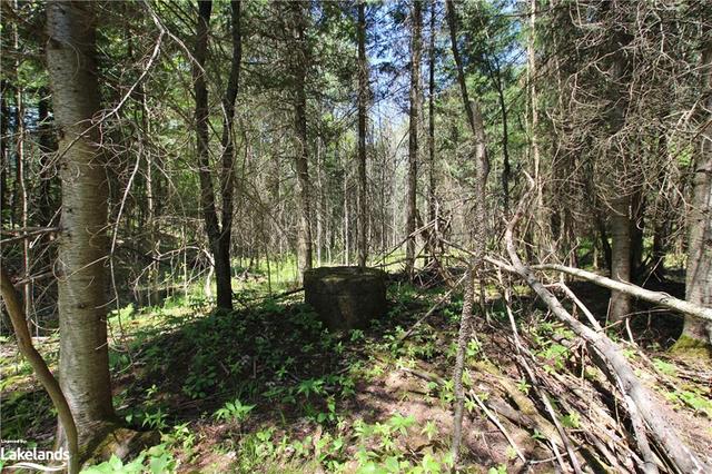 00 Old Nipissing Rd N, Home with 0 bedrooms, 0 bathrooms and null parking in Parry Sound, Unorganized, Centre Part ON | Image 11