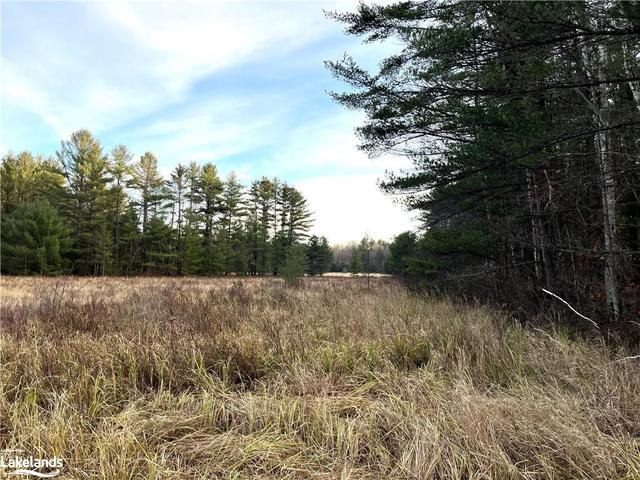 The grassy marsh part of the property | Image 4