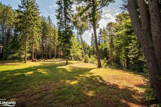 lot 2 Red Pine Trail, Home with 0 bedrooms, 0 bathrooms and null parking in Bracebridge ON | Image 6