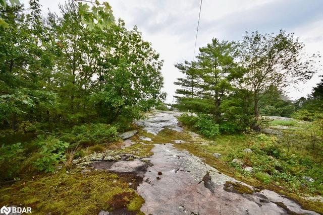 lot 2 Island 810 Royal Island, House detached with 3 bedrooms, 1 bathrooms and null parking in Georgian Bay ON | Image 38