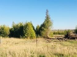 lot 7 Highway 48 Rd, Home with 0 bedrooms, null bathrooms and null parking in Brock ON | Image 6