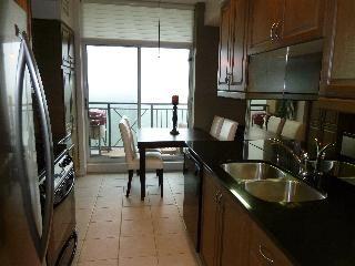 PH2003 - 1101 Leslie St, Condo with 2 bedrooms, 2 bathrooms and 2 parking in North York ON | Image 1