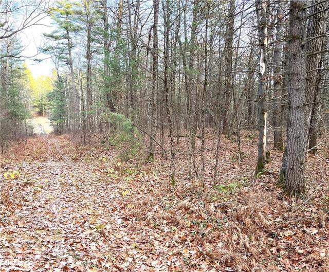 trail down to grassy marsh | Image 3