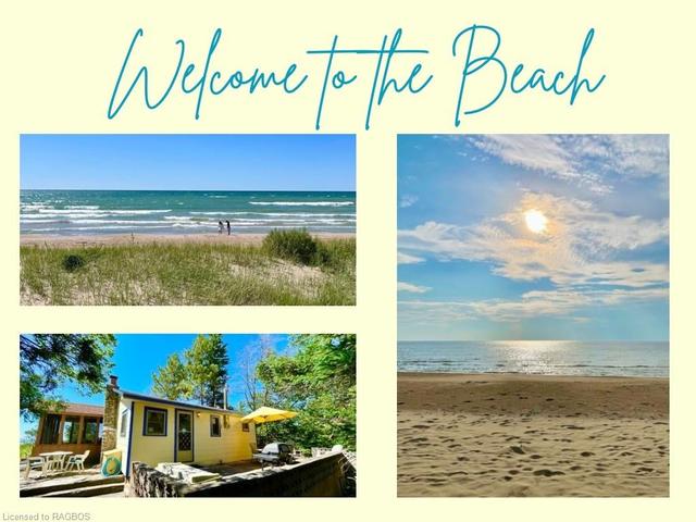 Welcome to the sandy beach!! | Image 1