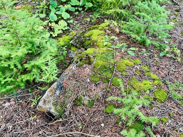 Some exposed limestone rock on the property. | Image 2