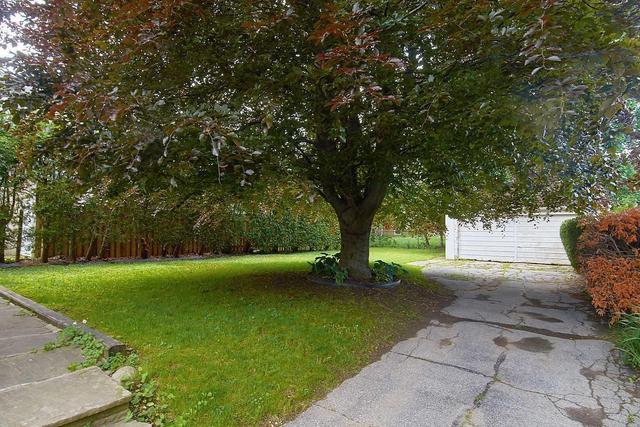 MAIN - 138 Johnston Ave, House detached with 3 bedrooms, 1 bathrooms and 2 parking in North York ON | Image 19