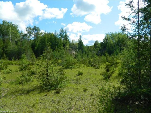 Bell Line Road, road frontage on left hand side | Image 3