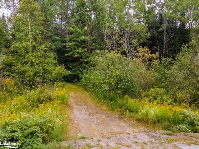 00 Pickerel & Jack Lake Rd, Home with 0 bedrooms, 0 bathrooms and null parking in Armour ON | Image 2