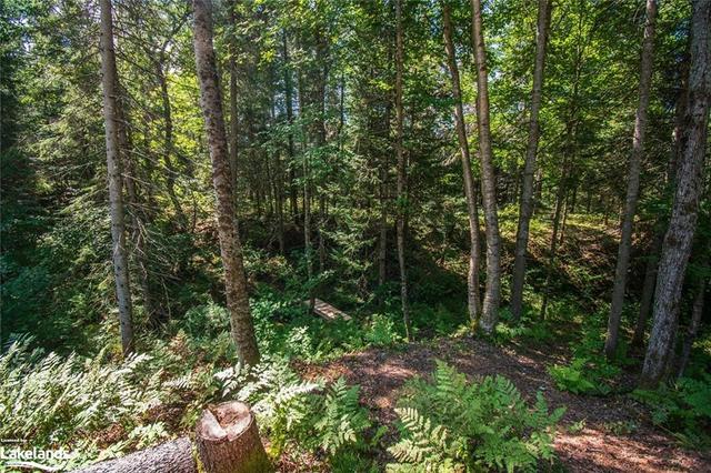 lot 2 Red Pine Trail, Home with 0 bedrooms, 0 bathrooms and null parking in Bracebridge ON | Image 9