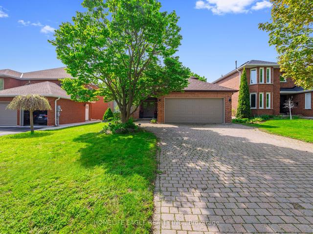 321 Jelley Ave, House detached with 4 bedrooms, 5 bathrooms and 6 parking in Newmarket ON | Image 1