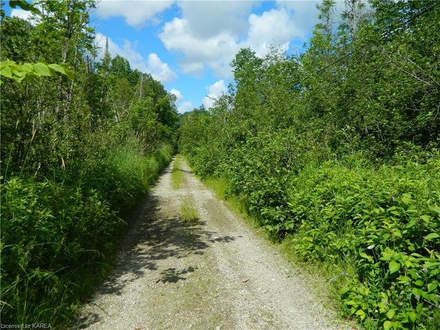 entrance driveway into property | Image 4