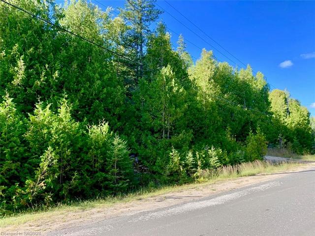 Excellent tree coverage at road side. | Image 15