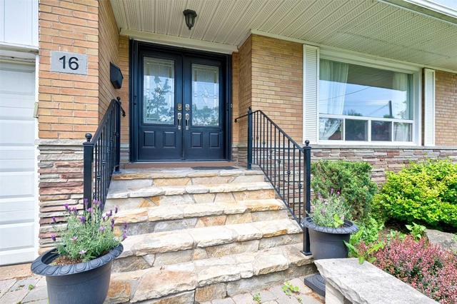 MAIN - 16 Massingham Rd, Home with 3 bedrooms, 1 bathrooms and 1 parking in Etobicoke ON | Image 34