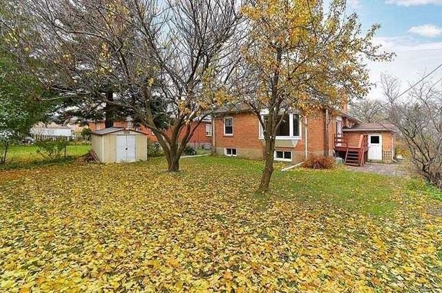 MAIN - 19 Nashland Ave, House detached with 3 bedrooms, 1 bathrooms and 2 parking in Etobicoke ON | Image 6