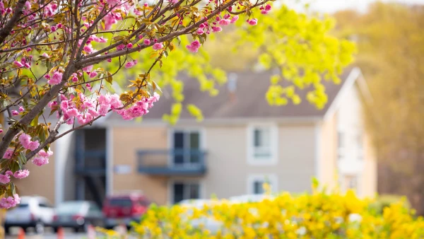 Spring Real Estate Predictions For Canadian Homebuyers Zoocasa Blog   Zoocasa What S In Store For The Spring Market Hero 2 600x338.webp