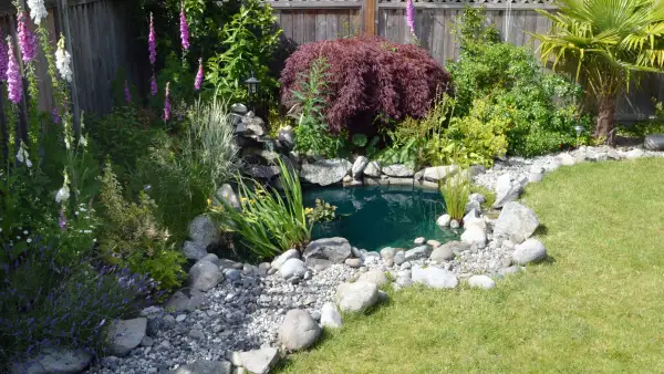5 Stylish Water Features to Transform Your Outdoor Space | Zoocasa Blog