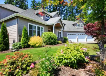 A house in the summer