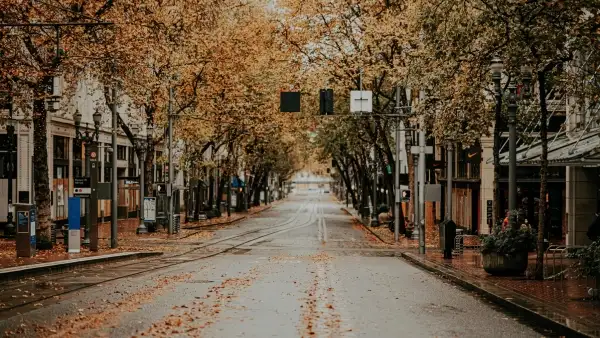 Autumn tree lined street in a city