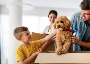 A family with their dog, surrounded by moving boxes.