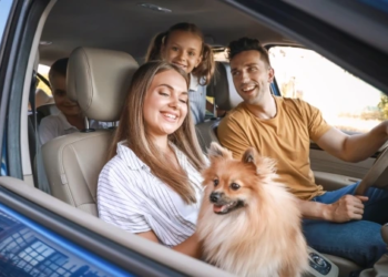 Family smiling in a car