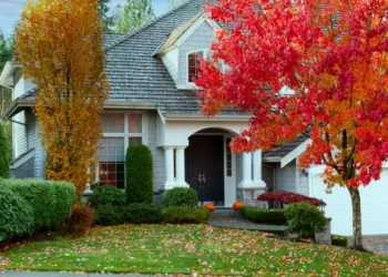 autumn leaves changing in a tree in front of a house