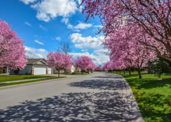 A neighbourhood of houses in spring.