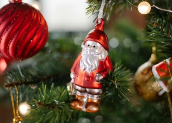 Red ornaments on a christmas tree